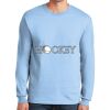 Ultra Cotton ® 100% US Cotton Long Sleeve T Shirt Thumbnail